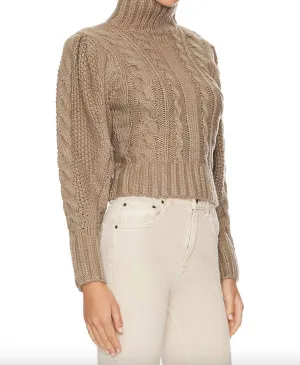 Haisley Cable Knit Turtleneck Sweater In Brown