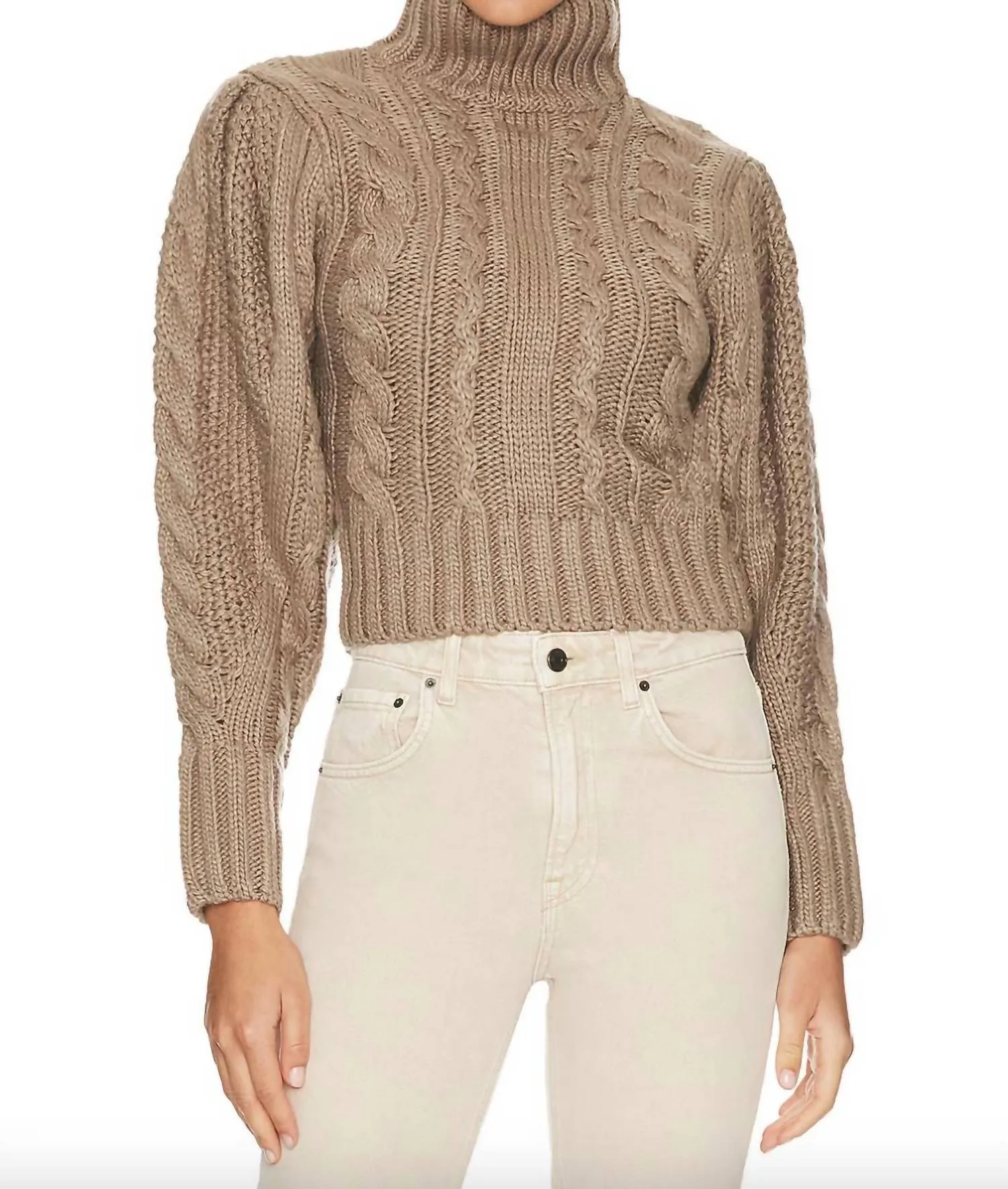 Haisley Cable Knit Turtleneck Sweater In Brown