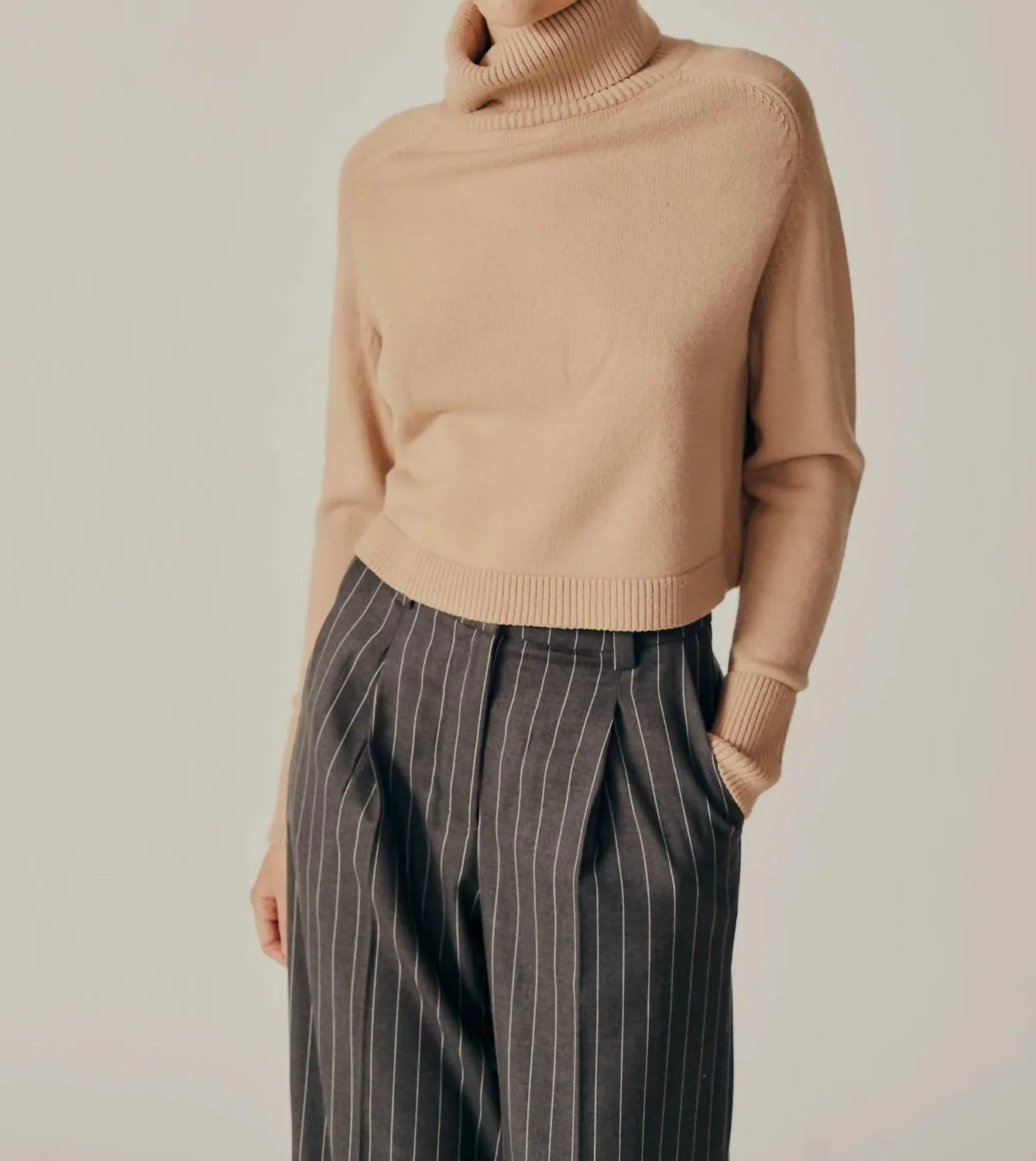 Pugliese Turtleneck Sweater In Mink